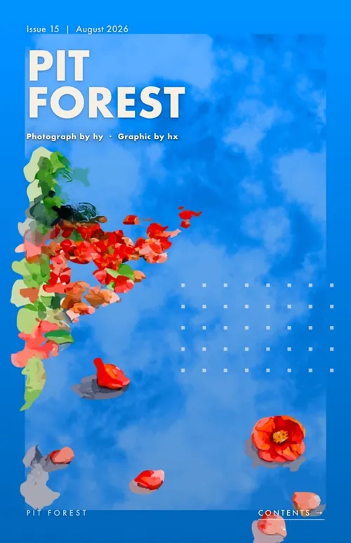 Issue 15 cover